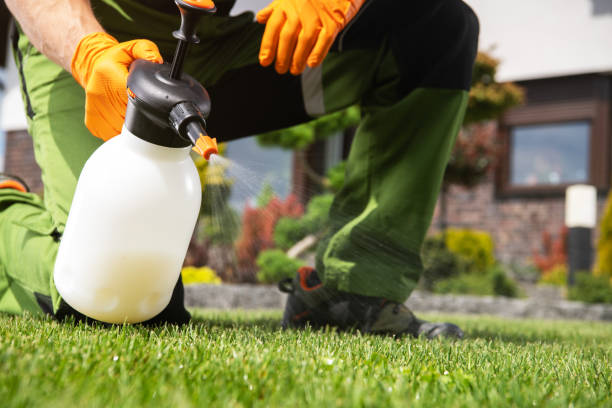 Best Pest Control for Restaurants  in Bremen, GA