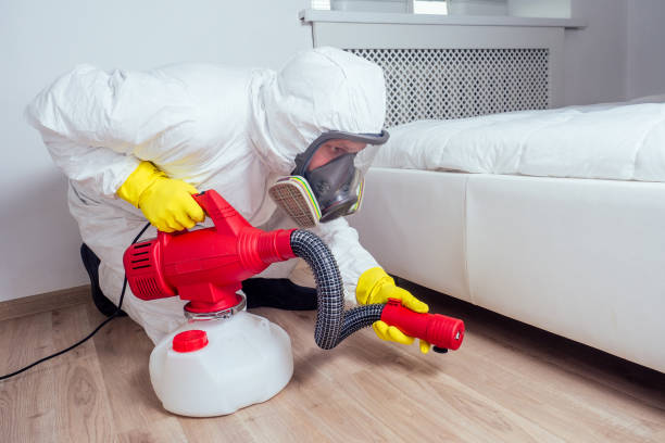 Best Flea Control Services  in Bremen, GA