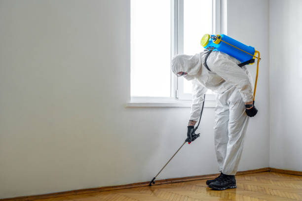 Flea Control Services in Bremen, GA